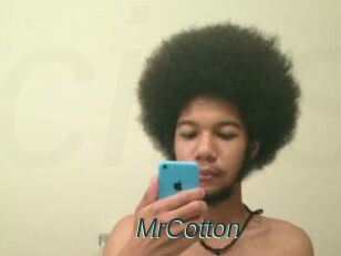 MrCotton