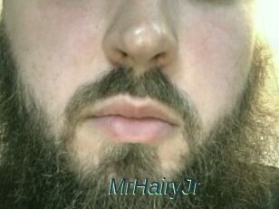 MrHairyJr