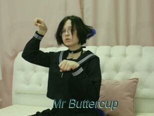 Mr_Buttercup