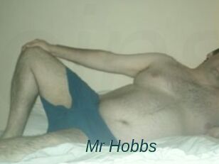 Mr_Hobbs