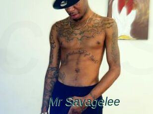 Mr_Savagelee