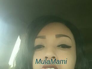 MulaMami