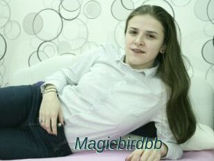 Magicbirdbb