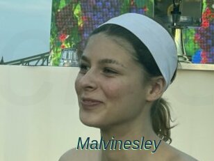 Malvinesley