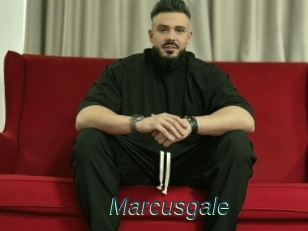 Marcusgale
