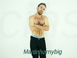 Martinhornybig