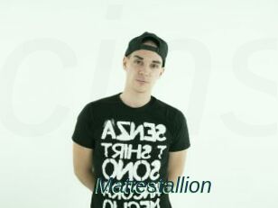 Mattestallion