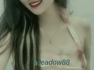 Meadow88