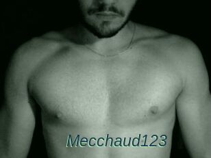 Mecchaud123