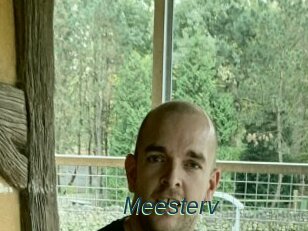 Meesterv