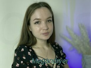 Megandryer