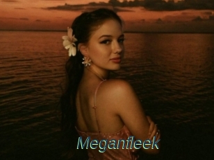 Meganfleek