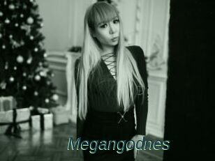 Megangodnes