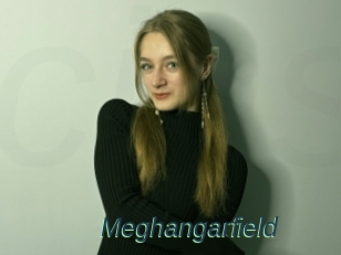 Meghangarfield