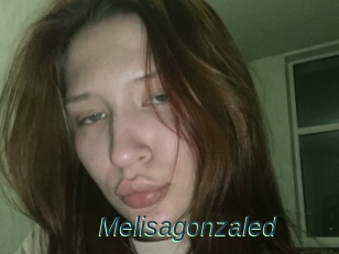 Melisagonzaled