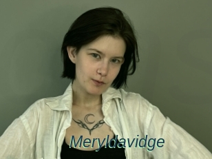 Meryldavidge