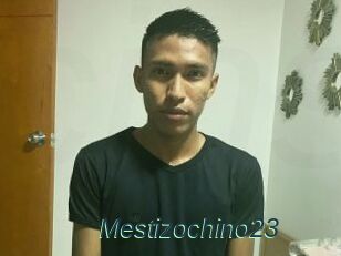 Mestizochino23