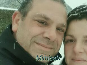 Mimiseb