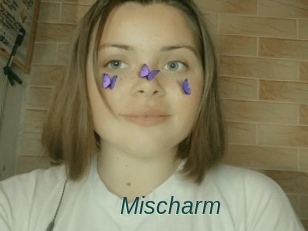 Mischarm