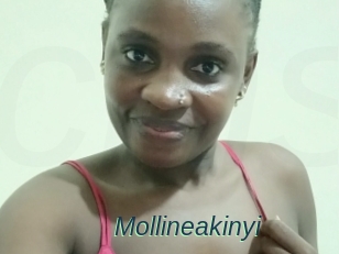 Mollineakinyi