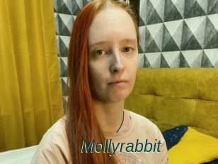 Mollyrabbit