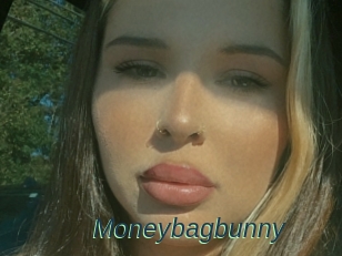 Moneybagbunny