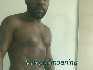 Mrwoodmoaning