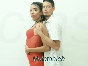 Mulataaleh