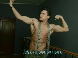 Muscleelement