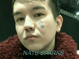 NATE_SPARKS