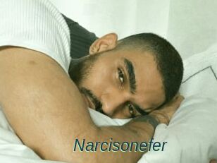 Narcisonefer