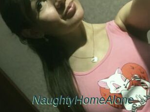 NaughtyHomeAlone