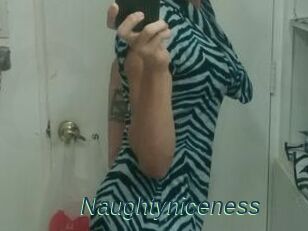 Naughtyniceness