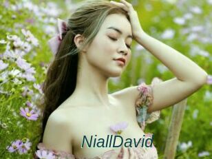 NiallDavid