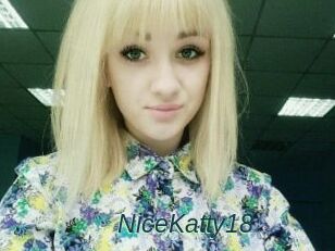 NiceKatty18