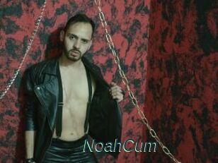 NoahCum