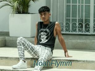 NoahFlymm