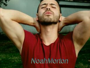 NoahMorton