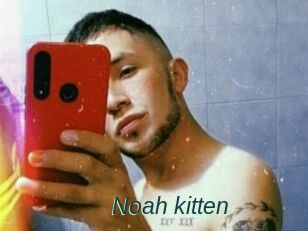 Noah_kitten
