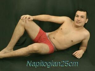 Napitogian25cm