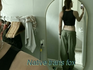 Native_trans_fox