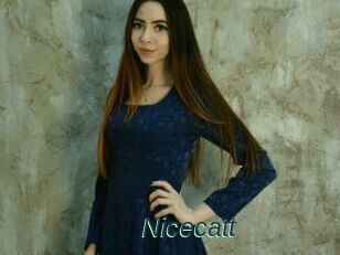 Nicecatt