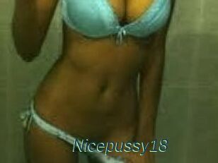 Nicepussy18