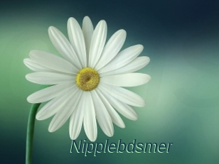 Nipplebdsmer