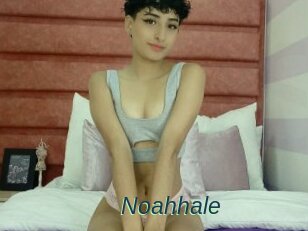 Noahhale