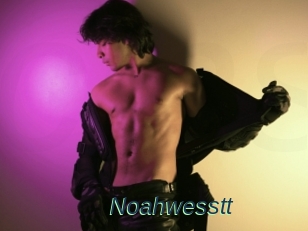 Noahwesstt