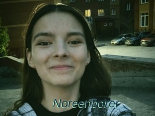 Noreenborer