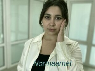 Normaarnet