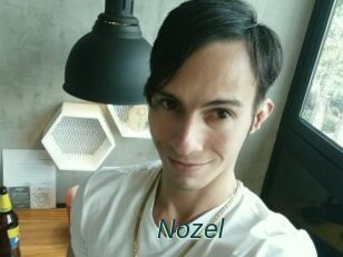 Nozel