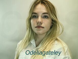 Odeliagateley